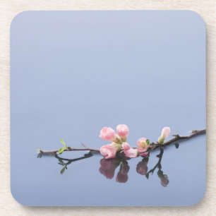 Dessous-de-verre Fleurs de cerisier sur l'eau