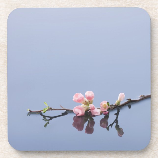 Dessous-de-verre Fleurs de cerisier sur l'eau (Devant)