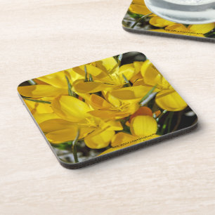 Dessous-de-verre Fleurs de Crocus Jaune