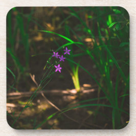 Dessous-de-verre Fleurs de forêts sauvages pourpres