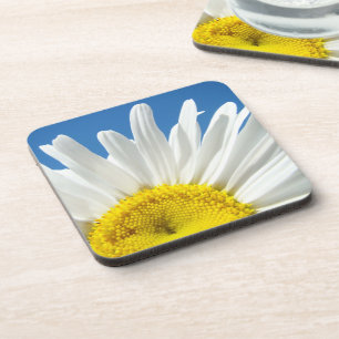 Dessous-de-verre Fleurs de marguerite blanche sous-verres en liège 