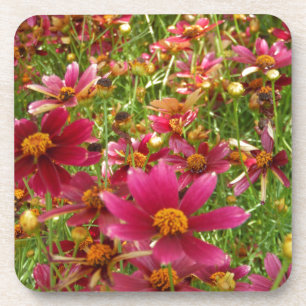 Dessous-de-verre Fleurs de marguerite rose et jaune brillantes