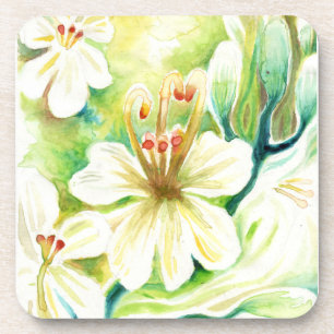 Dessous-de-verre Fleurs de Moringa