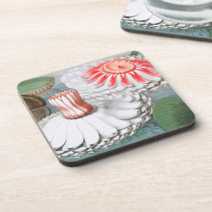Dessous-de-verre Fleurs de nénuphars vintage, nénuphars dans un éta