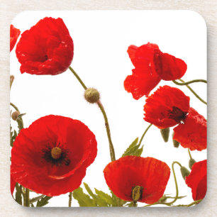 Dessous-de-verre Fleurs de pavot rouge floral Printemps Arrière - p