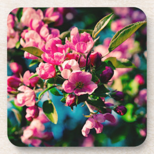 Dessous-de-verre Fleurs de pomme de crabe rose