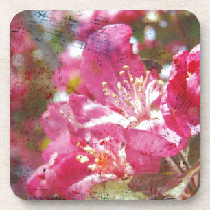Dessous-de-verre Fleurs de pommes de terre