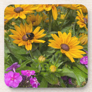 Dessous-de-verre Fleurs de Rudbeckia jaune Pink Phlox et abeille