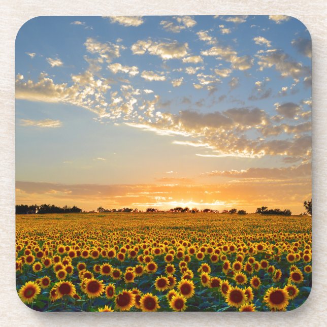 Dessous-de-verre Fleurs de soleil au coucher du soleil (Devant)