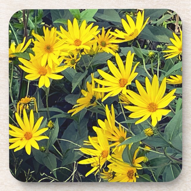 Dessous-de-verre Fleurs de topinambour (Devant)