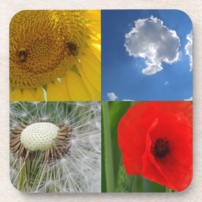 Dessous-de-verre Fleurs d'été amusantes (Devant)