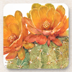 Dessous-de-verre Fleurs d'orange de cactus