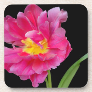 Dessous-de-verre Fleurs Fleuris Fête de Naissance Félicitations Amo