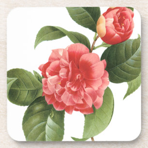 Dessous-de-verre Fleurs Florales Vintage, Fleurs de Camélia Roses p