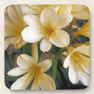 DESSOUS-DE-VERRE FLEURS JAUNES