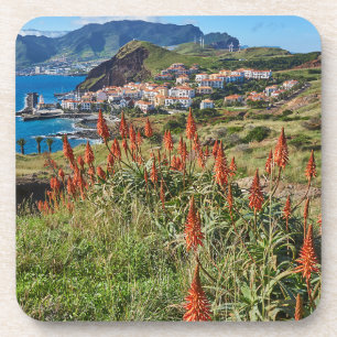 Dessous-de-verre Fleurs   Madeira Island Portugal