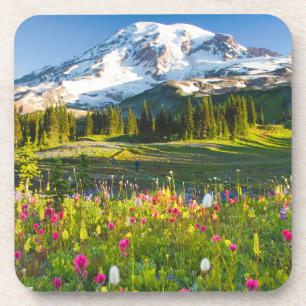 Dessous-de-verre Fleurs   Mt. Rainier Fleurs sauvages