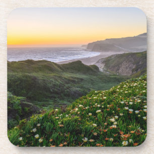 Dessous-de-verre Fleurs   Père Noël Cruz Californie