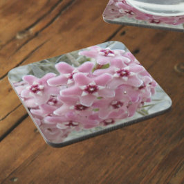 Dessous-de-verre Fleurs Plantes roses Hoya Floral