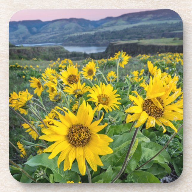 Dessous-de-verre Fleurs | Rivière Balsomroot Columbia, Oregon (Devant)