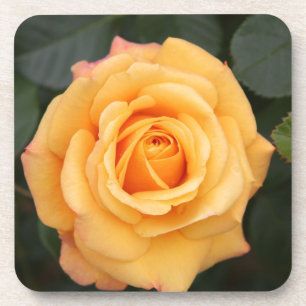 Dessous-de-verre Fleurs roses fleurs fleur amour femme couple amour