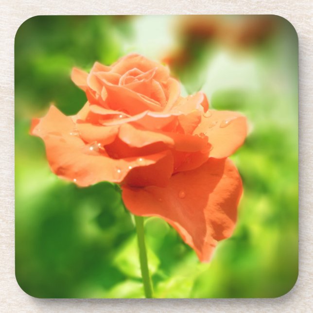 Dessous-de-verre Fleurs Roses romantiques #2 (Devant)