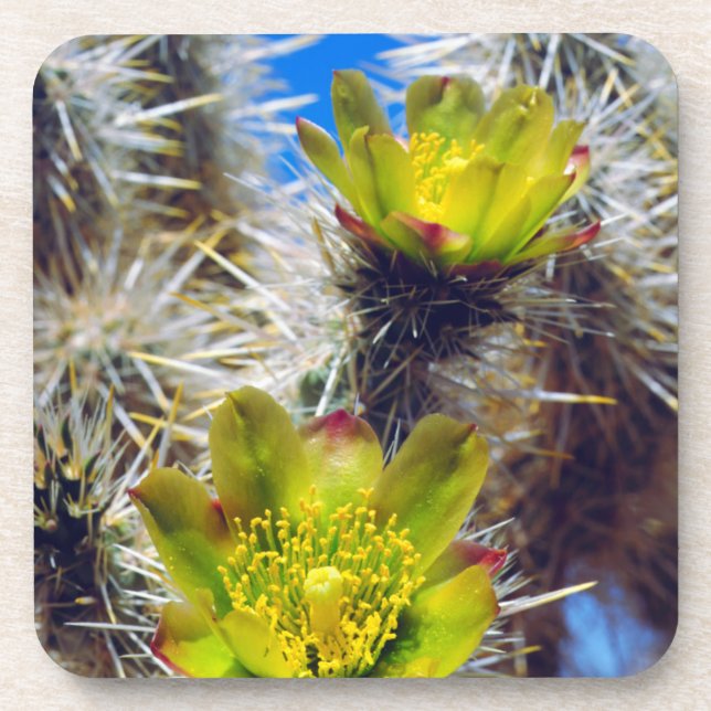 Dessous-de-verre Fleurs sauvages de Cholla Cactus d'argent (Devant)