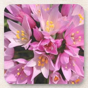 Dessous-de-verre Fleurs tropicales roses et jaunes