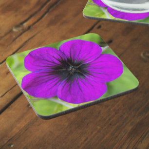 Dessous-de-verre Floral de Cranesbill pourpre Geranium