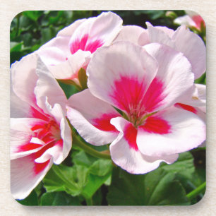 Dessous-de-verre Floral de géranium rose et rouge