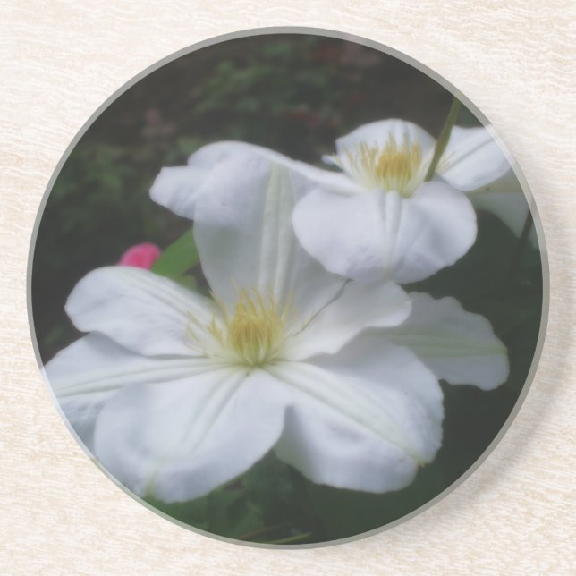Dessous de verre floral Double Clematis (Devant)