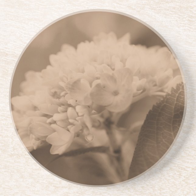 Dessous de verre floral doux Hydrangea Sepia (Devant)