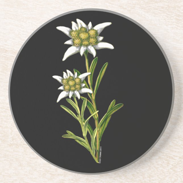 Dessous de verre Floral Edelweiss (Devant)