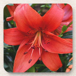 Dessous-de-verre Floral Orange Lily