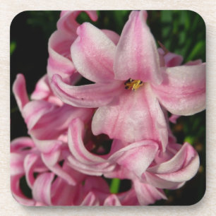 Dessous-de-verre Floral Pink Hyacinth