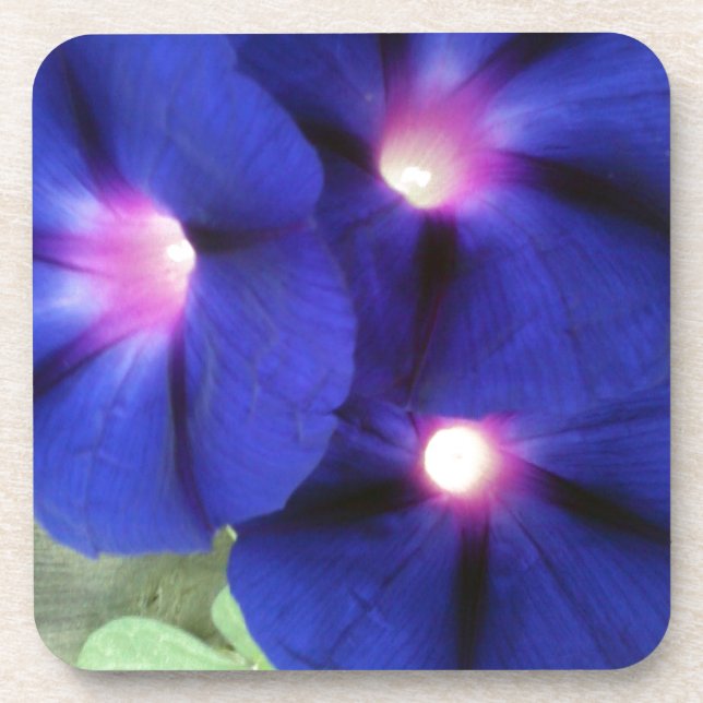 Dessous de verre Floral pourpre (Devant)