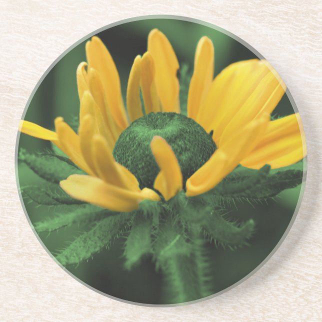 Dessous de verre floral Susan Black Eyed vert (Devant)