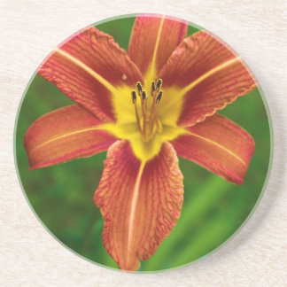 Dessous de verre floraux de boissons