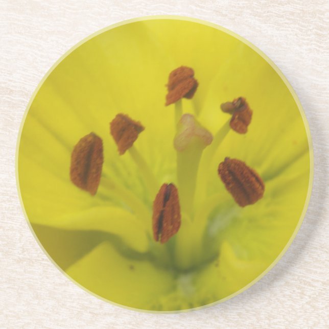 Dessous de verre floraux jaunes (Devant)