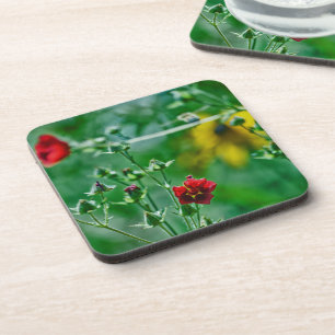 Dessous-de-verre Fly-By dans le jardin
