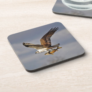Dessous-de-verre Flying Osprey with Walleye Fish HDR Photo