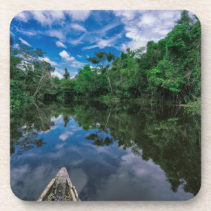 Dessous-de-verre Forêt   Forêt de la jungle péruvienne