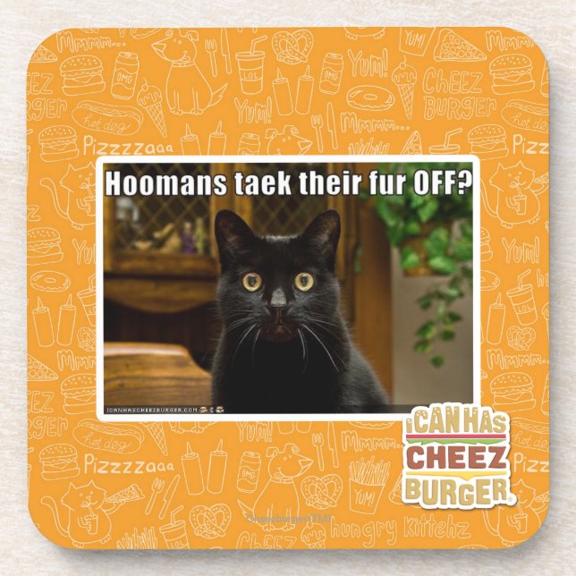 Dessous-de-verre Fourrure de Hoomans Taek là ? (Devant)