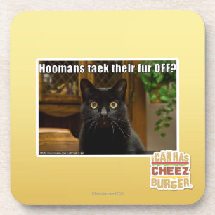 Dessous-de-verre Fourrure de Hoomans Taek là ?