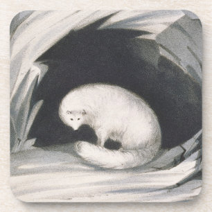 Dessous-de-verre Fox arctique, de 'récit d'un deuxième voyage