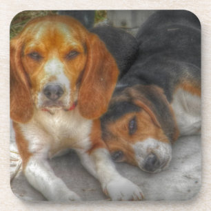 Dessous-de-verre Frère Beagle