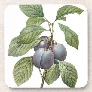 Dessous-de-verre Fruit vintage, Plums pourpres de jardin par Redout