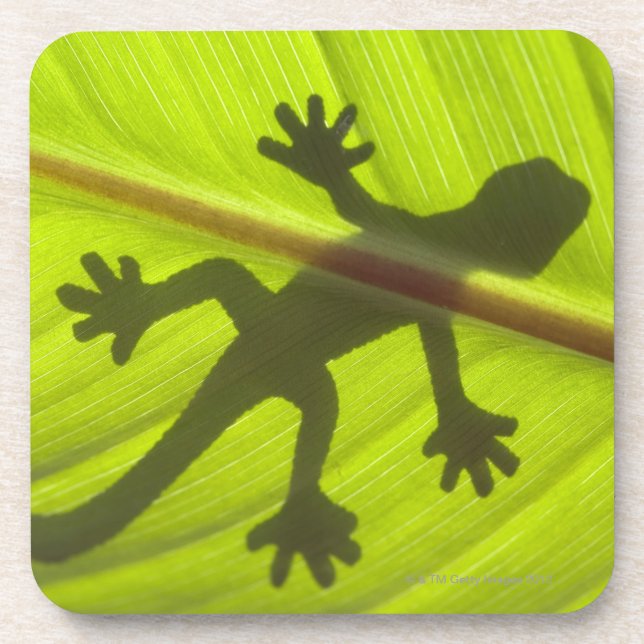 Dessous-de-verre Gecko (Devant)