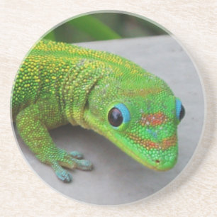 Dessous de verre Gecko de la journée de la poussiè