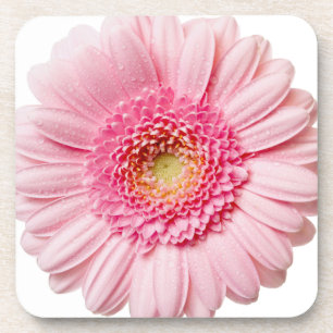 Dessous-de-verre Gerbera Daisy rose